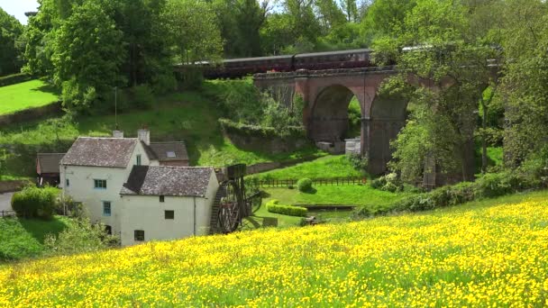 Steam Train Passes Stone Bridge English Countryside Field Wildflowers Foreground — Stock Video
