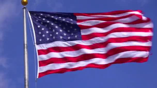 Flag Flies Wind — Stock Video