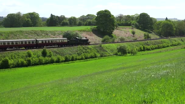 高速で英語の田舎を走る蒸気機関車 — ストック動画