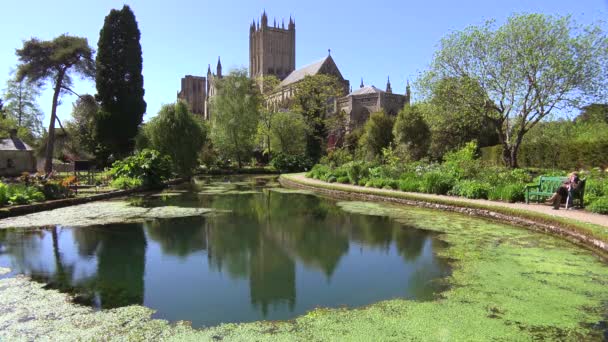 Establishing Shot Main Cathedral Abbey Wells England Botanical Gardens Foreground — Stock Video