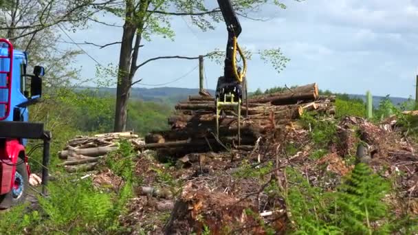 Eine Klaue Lädt Bauholz Auf Einen Sattelschlepper Einem Abgeholzten Gebiet — Stockvideo