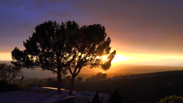 Prachtige Zonsopkomst Zonsondergang Langs Californische Kust Met Een Silhouet Bomen — Stockvideo