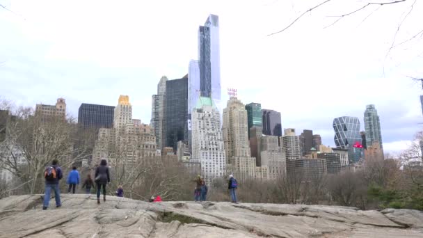 Vandrare Central Park Beundrar Skyskrapor — Stockvideo