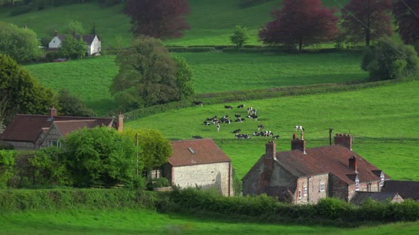 Mycket Pittoreska Stugor Utgör Lantlig England Irland Wales Eller Skottland — Stockvideo