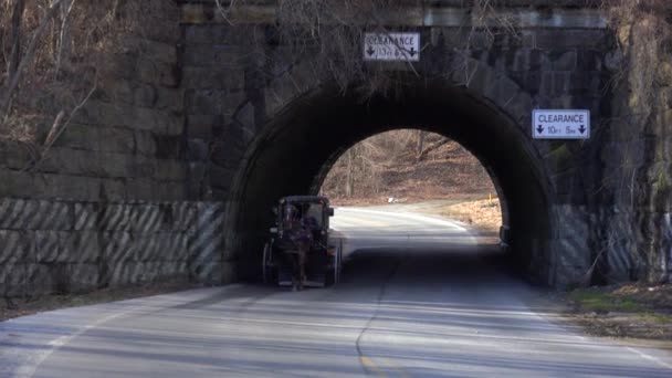 Carro Caballos Amish Pasa Través Túnel — Vídeos de Stock