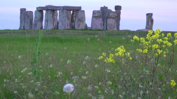 Stonehenge Lontananza Nelle Pianure Inghilterra — Video Stock