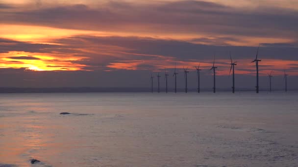 Een Windpark Wekt Elektriciteit Langs Een Kustlijn Bij Zonsondergang — Stockvideo