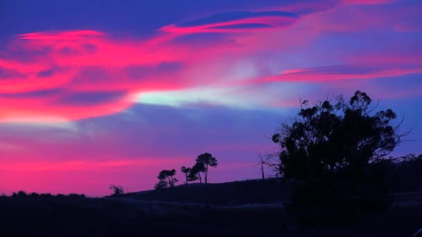 一种美丽的异国情调的日出或日落 沿着加利福尼亚海岸 前景是一棵轮廓分明的树 — 图库视频影像