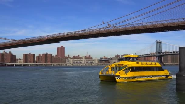Táxi Aquático Cidade Nova York Atravessa Frente Ponte Brooklyn — Vídeo de Stock