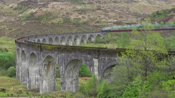Pociąg Parowy Przejeżdża Przez Wiadukt Glenfinnian Szkocji — Wideo stockowe