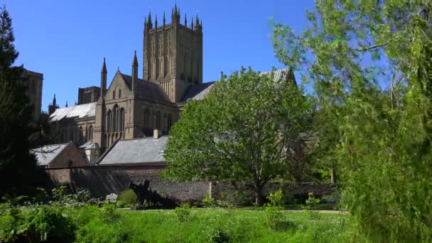 Een Gevestigd Schot Van Belangrijkste Kathedraal Abdij Van Wells Engeland — Stockvideo