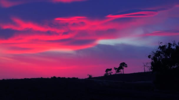 Una Bellissima Alba Tramonto Ultraterreno Lungo Costa Californiana Con Albero — Video Stock