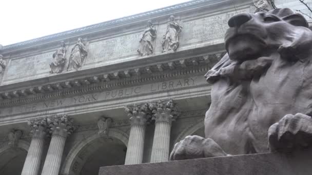 New York Halk Kütüphanesinin Çekimleri Başlatılıyor — Stok video