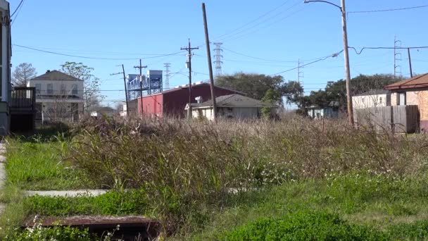 Дома Стоят Посреди Пустых Неосвоенных Участков Нижнем Округе Нового Орлеана — стоковое видео