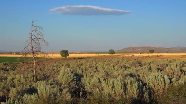Nube Lenticolare Appare Sopra Deserto — Video Stock