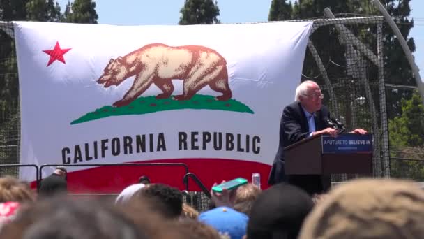 Bernie Sanders Spricht Vor Einer Riesigen Menschenmenge Bei Einer Politischen — Stockvideo