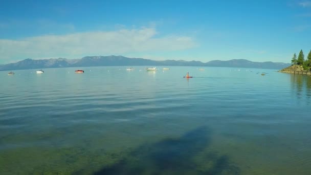 Una Toma Aérea Una Mujer Perro Remando Lago Tahoe — Vídeos de Stock