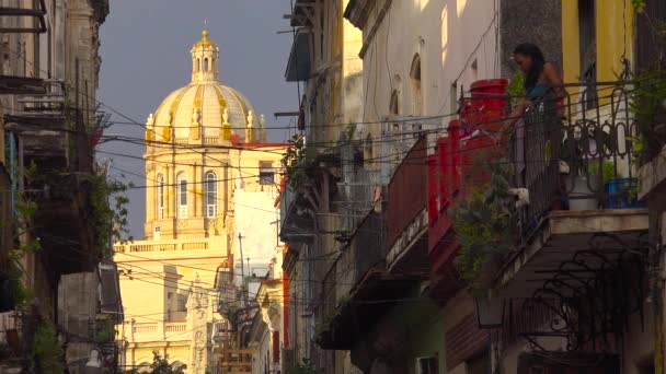 Küba Nın Havana Şehrine Bakan Bir Kadın Balkonda Duruyor — Stok video