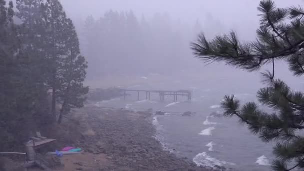 Una Tormenta Nieve Lake Tahoe Nevada — Vídeos de Stock