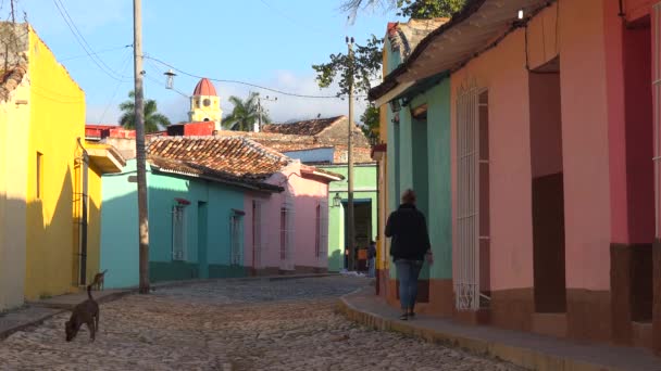 Een Prachtig Beeld Van Gebouwen Geplaveide Straten Van Trinidad Cuba — Stockvideo