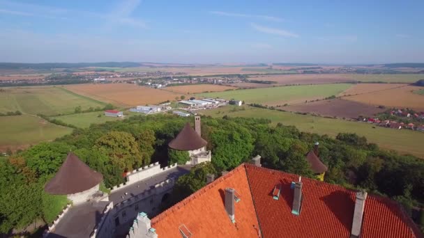 Μια Όμορφη Εναέρια Άποψη Του Ρομαντικού Κάστρο Smolnice Στη Σλοβακία — Αρχείο Βίντεο