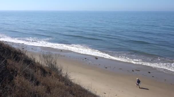 加利福尼亚一个男人在一个寂寞的海滩上散步 — 图库视频影像