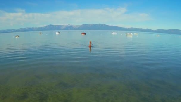 Tiro Aéreo Uma Mulher Seu Cão Paddle Embarque Lago Tahoe — Vídeo de Stock