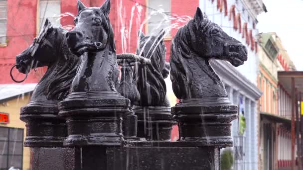 Horse Head Fountains Selma Alabama — Stock Video