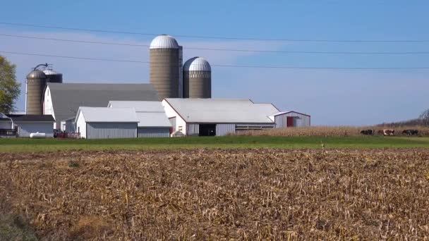 Oprichting Schot Van Een Landelijke Boerderij American Midwest — Stockvideo