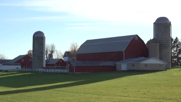 Establecimiento Toma Una Granja Lechera Wisconsin Como Vacas Entran Granero — Vídeo de stock