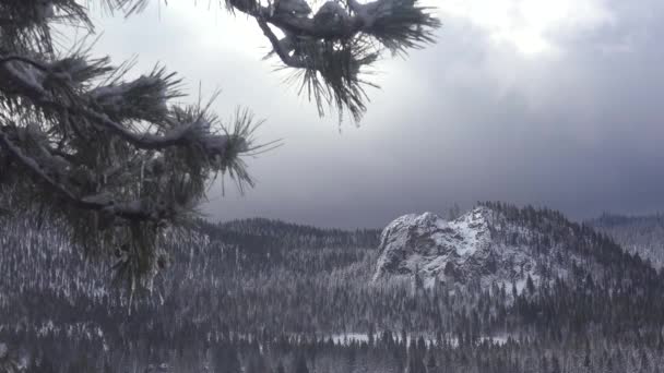 Nuvole Nebbia Muovono Una Bella Scena Neve Inverno Nelle Alte — Video Stock