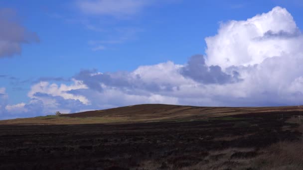 在隔着美丽的苏格兰荒野的远处 可以看到一座废弃的小石屋 — 图库视频影像