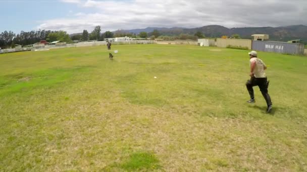 Vue Aérienne Dessus Chien Entraînement Attaquant Entraîneur — Video