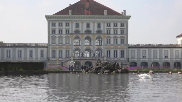 Κύκνοι Διασχίζουν Μια Λίμνη Μπροστά Από Παλάτι Του Nymphenburg Στο — Αρχείο Βίντεο
