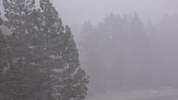 Una Tormenta Nieve Cegadora Golpea Las Montañas Sierra Nevada — Vídeos de Stock