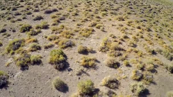 ネバダ砂漠の上空からの上昇する眺め — ストック動画