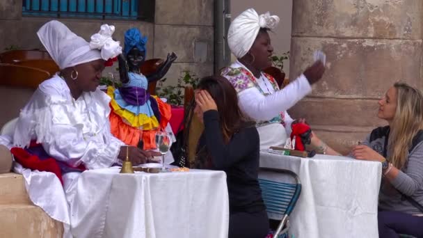 Toeristen Overleggen Met Zigeunerwaarzeggers Straten Van Havana Cuba — Stockvideo