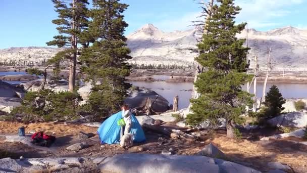 一个女人和她的狗在内华达山脉荒凉的荒原上搭起了一个帐篷 — 图库视频影像