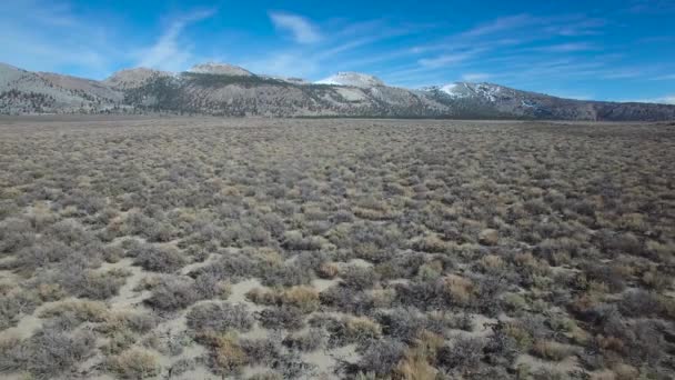 Hermosa Toma Aérea Sobre Sagebrush Desierto Revela Los Conos Del — Vídeos de Stock