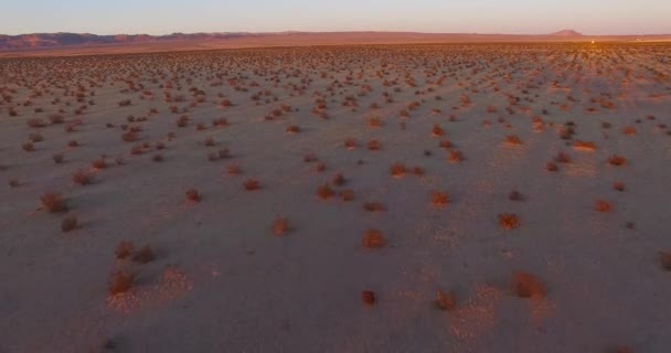 日出或日落时在莫哈韦沙漠上空快速低空飞行的美丽飞机 — 图库视频影像