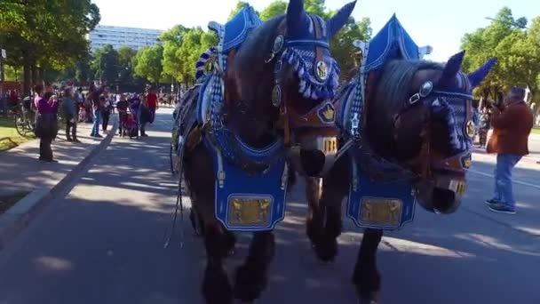 Ekim Festivali Sırasında Almanya Nın Münih Sokaklarında Bir Arabası Çekiliyor — Stok video