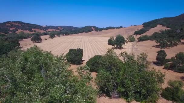 中央カリフォルニアの丘陵 オークの木や農場の空中映像 — ストック動画