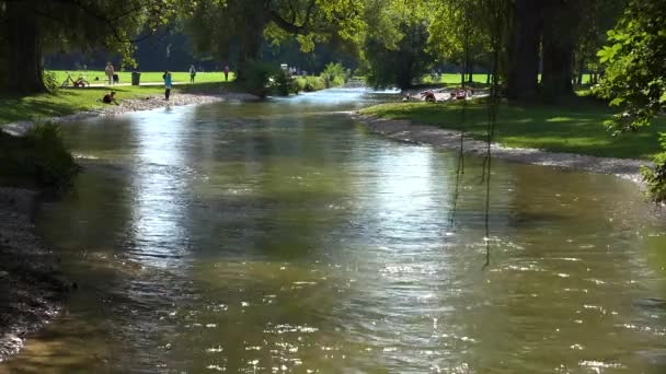 Sungai Eisbach Mengalir Melalui Munich Germany English Park — Stok Video