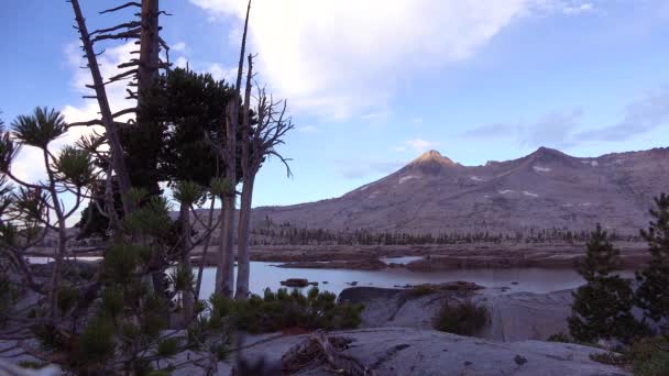 Tijd Verstrijken Van Wolken Passeren Woestijn Wildernis Van Sierra Nevada — Stockvideo