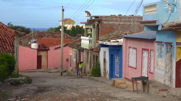 Perro Encuentra Alto Edificio Con Vistas Ciudad Trinidad Cuba — Vídeos de Stock