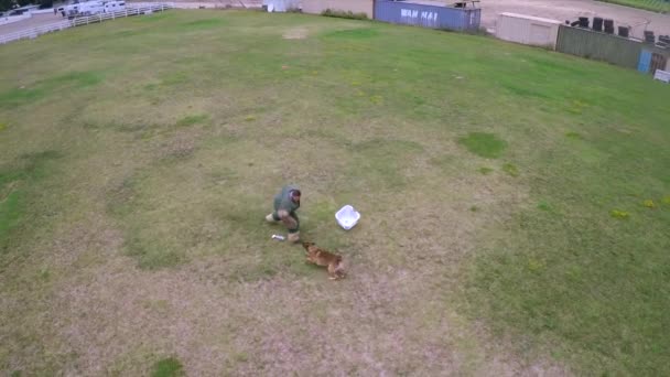 Αεροφωτογραφία Πάνω Από Ένα Σκυλί Στην Εκπαίδευση Επίθεση Εκπαιδευτή — Αρχείο Βίντεο