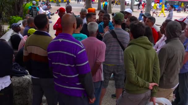 Grandes Multitudes Reúnen Parque Central Habana Cuba Para Debatir Hablar — Vídeos de Stock