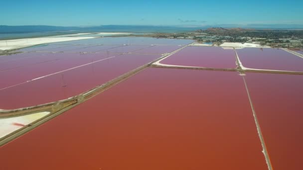 Aerial Footage Remarkable Red White Salt Flats Fremont California Bay — Stock Video