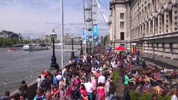 Large Crowds Walk Thames River London England — Stock Video