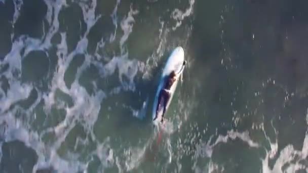 Une Antenne Directement Dessus Une Femme Pagayant Planche Surf Travers — Video